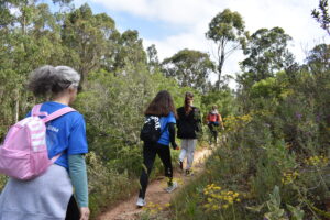 1ª Caminhada "Trilhos do Gualdim"