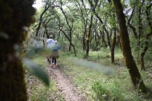 1ª Caminhada "Trilhos do Gualdim"